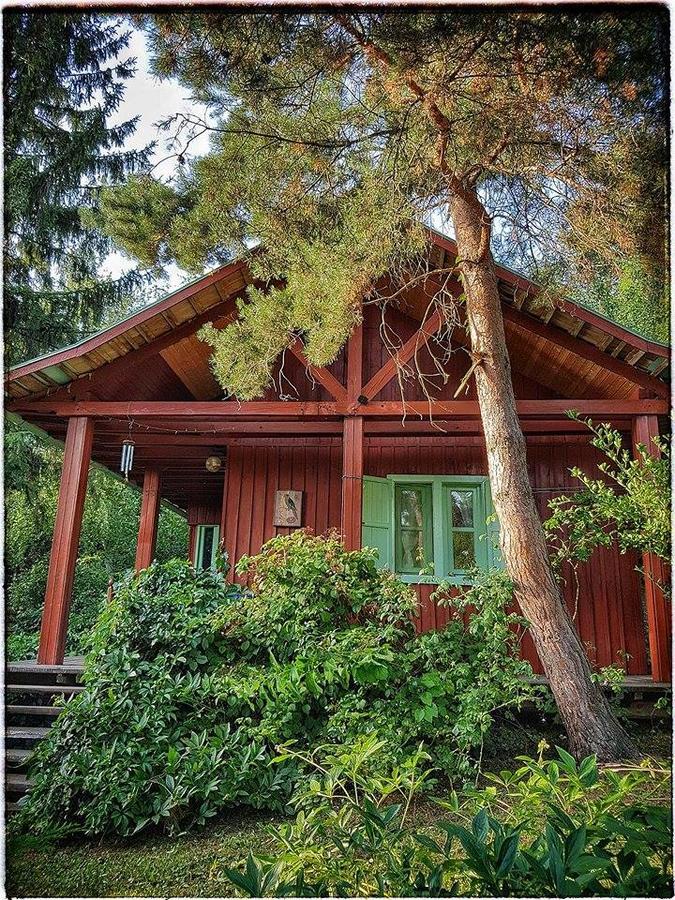 Rosehill Cottage Orbanyosfa Экстерьер фото