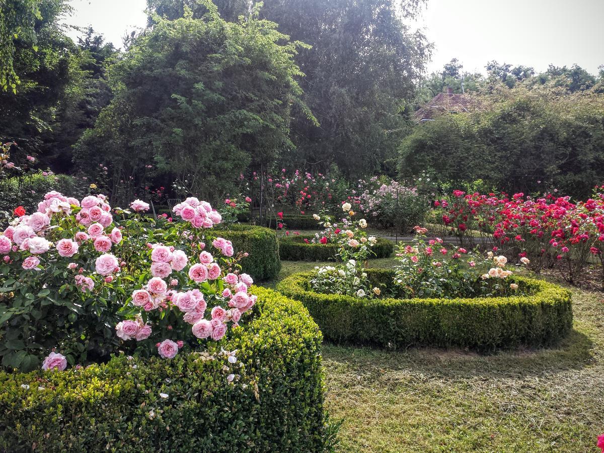 Rosehill Cottage Orbanyosfa Экстерьер фото